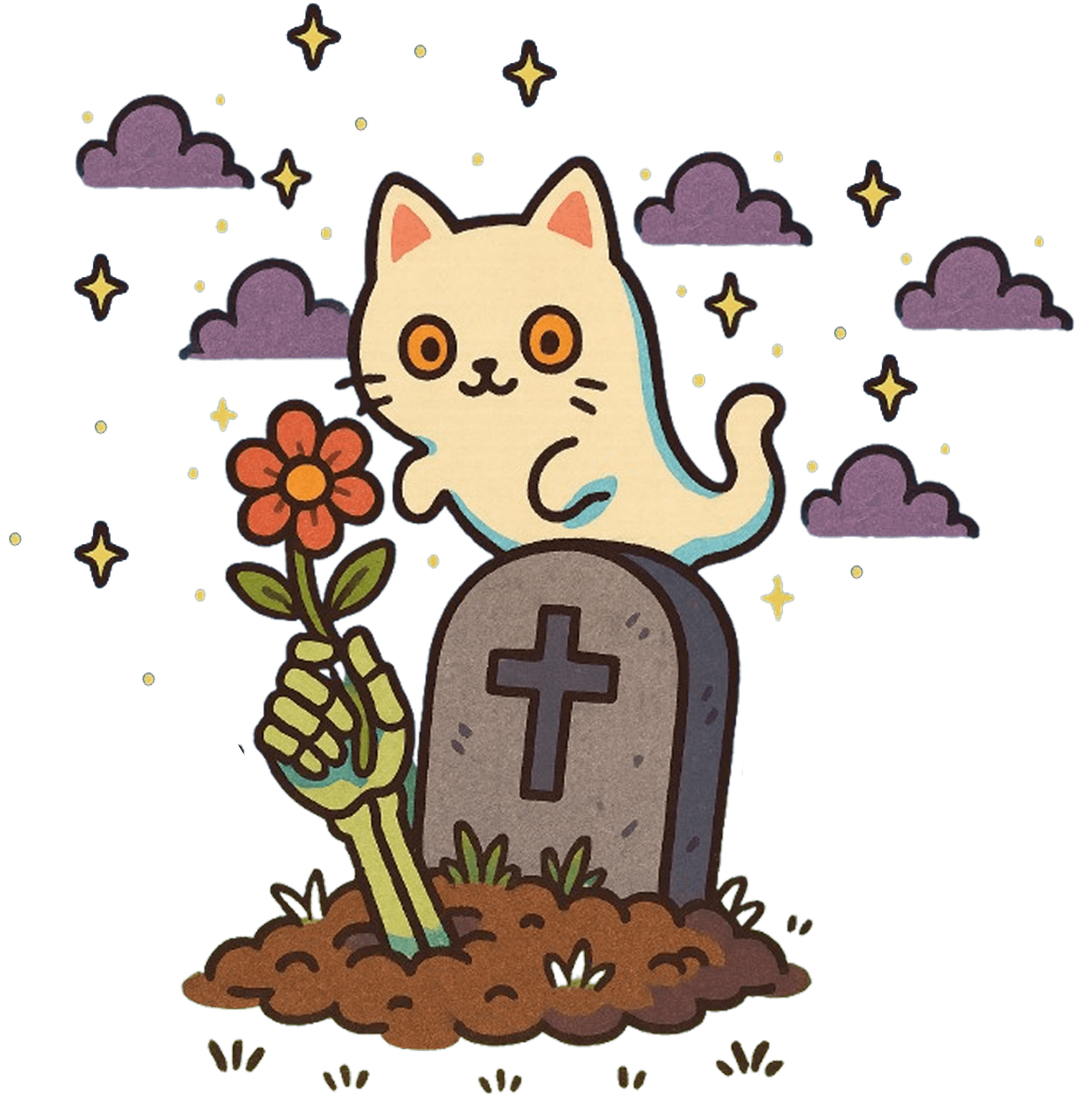 cat at night